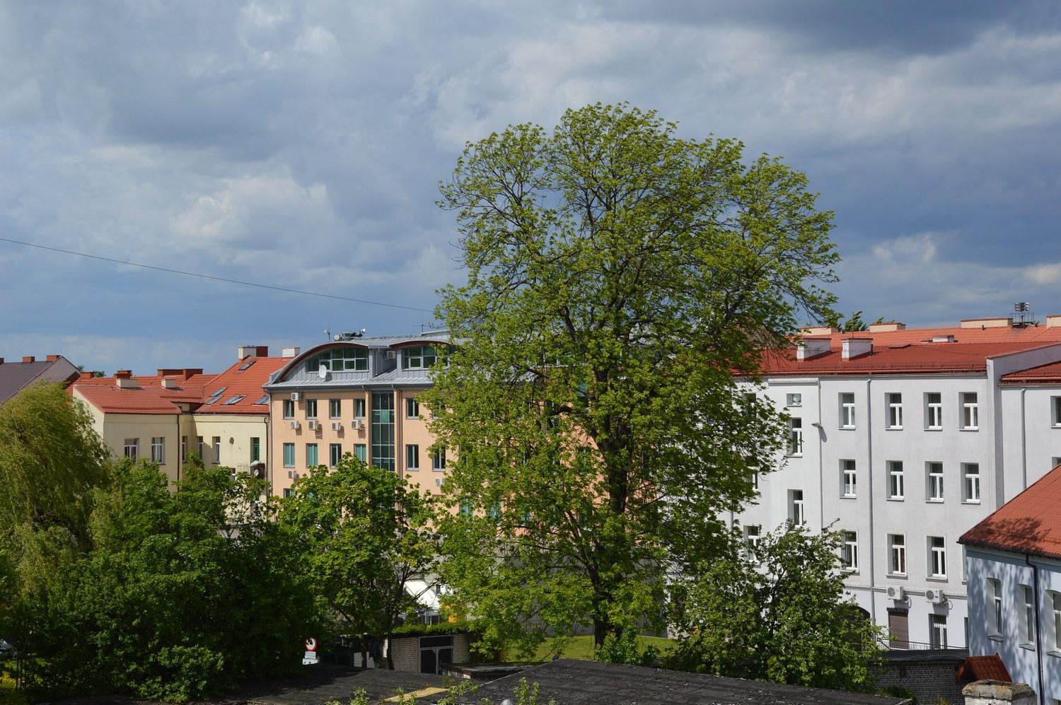 Pokoje Goscinne Centrum Kultury Prawoslawnej Белосток Экстерьер фото
